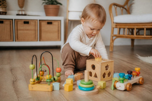 Are Developmental Toys for 1 Year Olds Worth It?