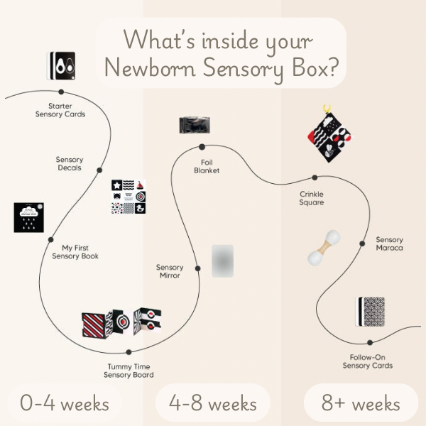 The Newborn Sensory Box (0-6+ Months)